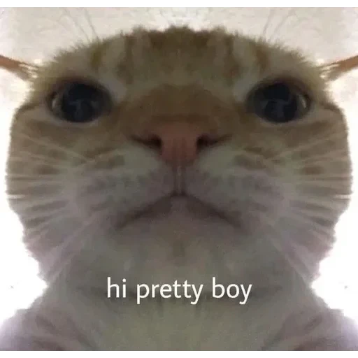 чмок💋 — 38