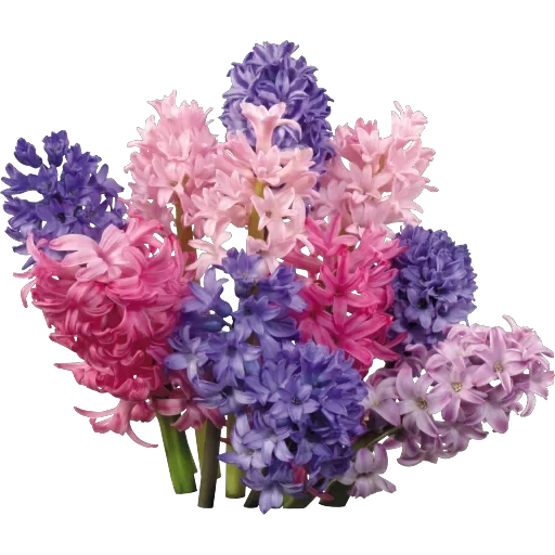 congratulations — 30