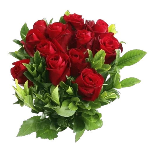 congratulations — 33