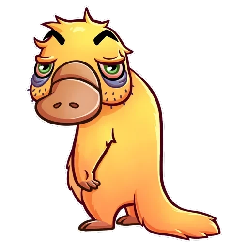 Cooper the Platypus — 13
