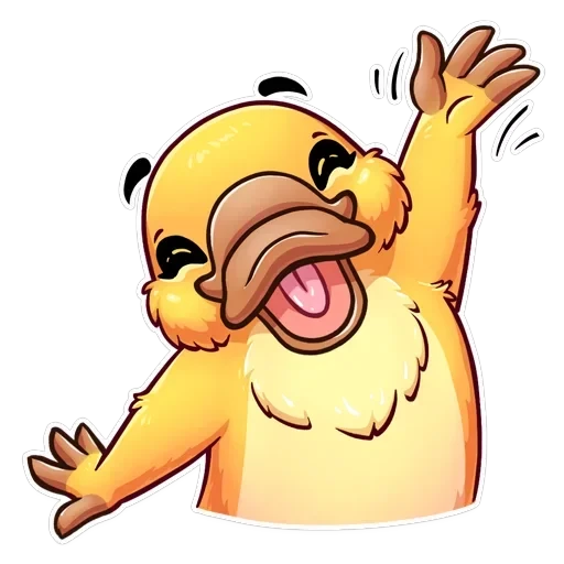 Cooper the Platypus — 5