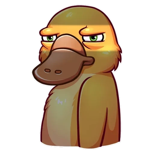 Cooper the Platypus — 6