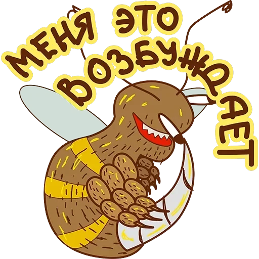 Crazy Bee — 20