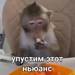 crypto monkey  | @ok_sticker_bot — 13