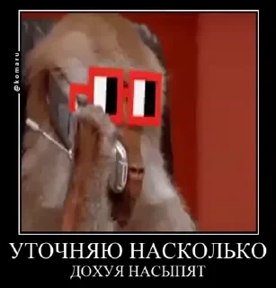 crypto monkey  | @ok_sticker_bot — 20