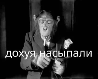 crypto monkey  | @ok_sticker_bot — 39