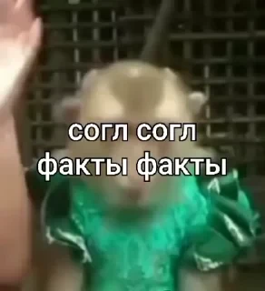 crypto monkey  | @ok_sticker_bot — 40