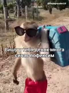 crypto monkey  | @ok_sticker_bot — 59