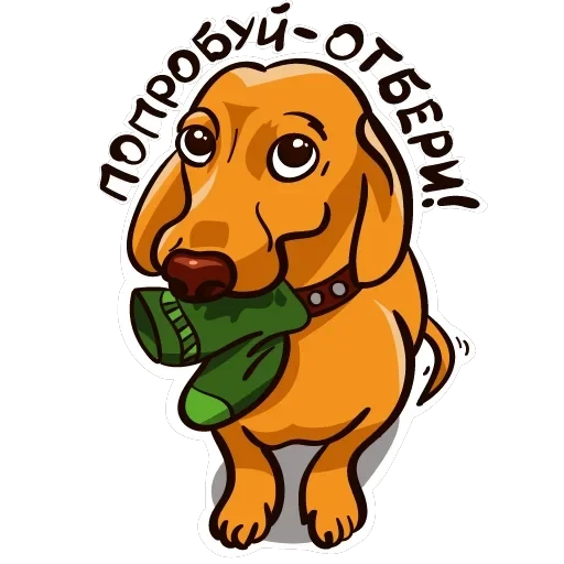 dachshundRicha — 2