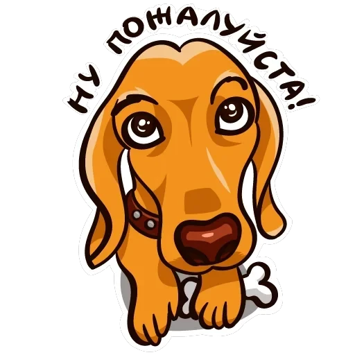 dachshundRicha — 3