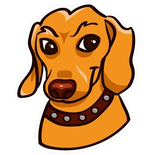 dachshundRicha — 8