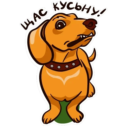 dachshundRicha — 9