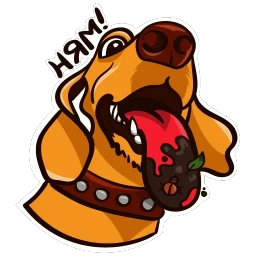dachshundRicha