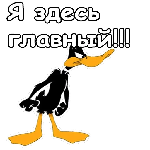 Даффи Дак — 1