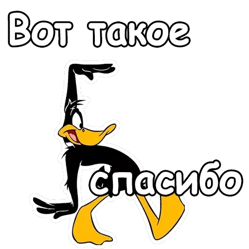 Даффи Дак — 17