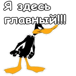 Даффи Дак