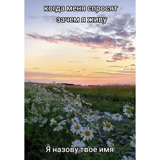 депресняк — 2