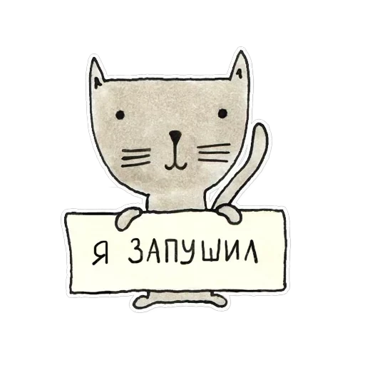 developer — 5