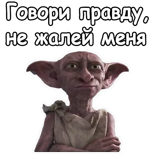 Добби — 13