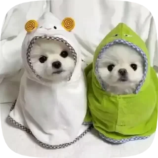 Dogs — 32