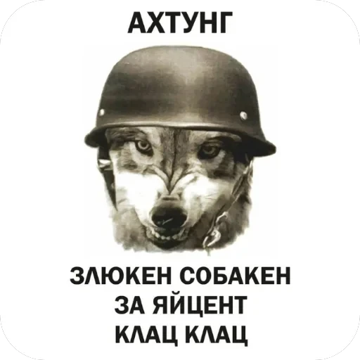 долбаёб ебланов хуйланович — 34