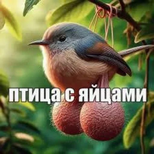 долбаёб ебланов хуйланович — 56