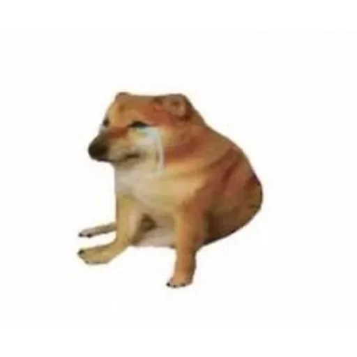 долбаёб ебланов хуйланович — 7