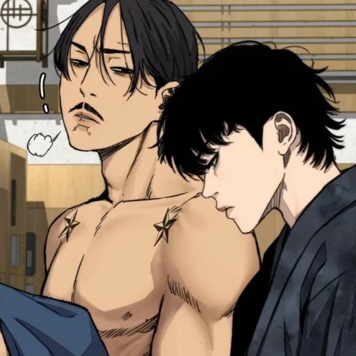 ─ Dom — 13