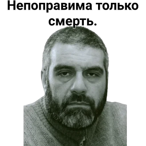 Довлатов — 24