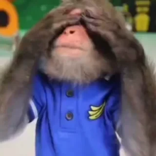 дзерӕйы маймулитӕ — 46