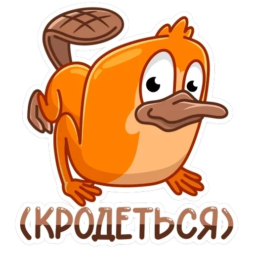 Джастин — 17