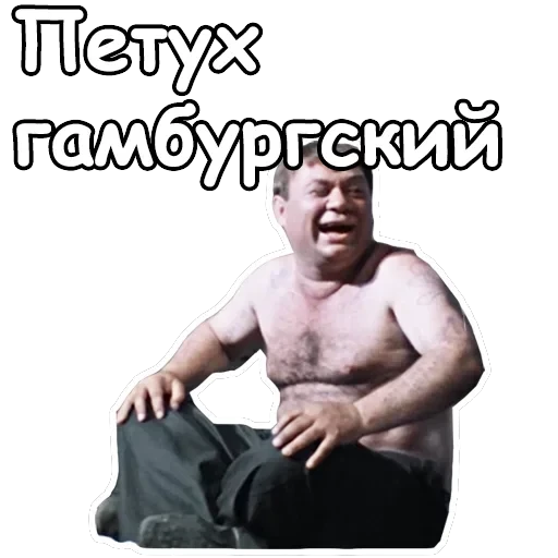Джентльмены удачи — 29