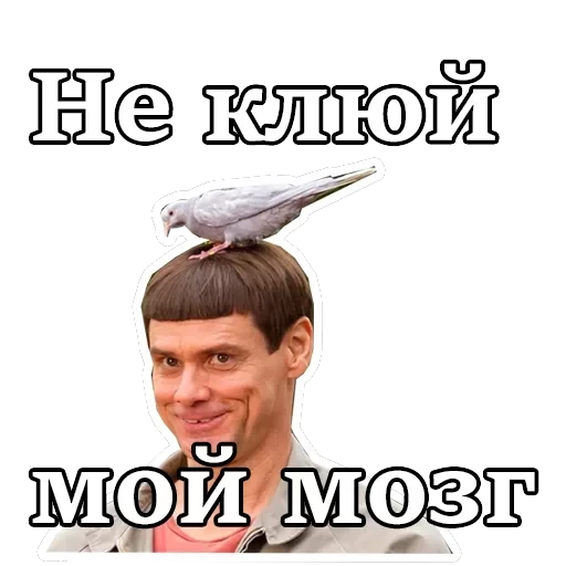 Джим Керри — 20