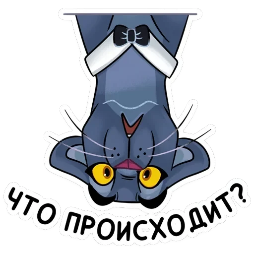 Джонни — 21