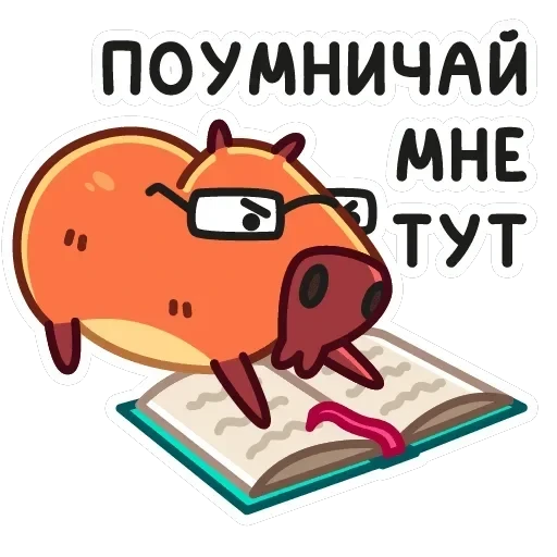 Пиби — 12