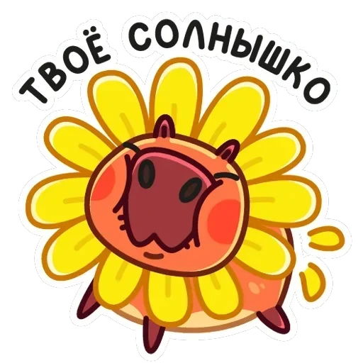 Пиби — 23
