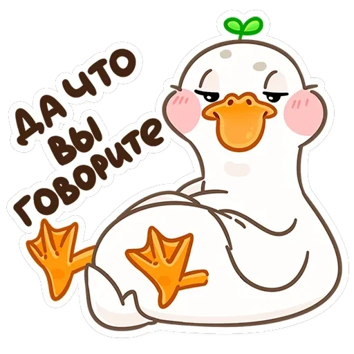 Утошка — 14
