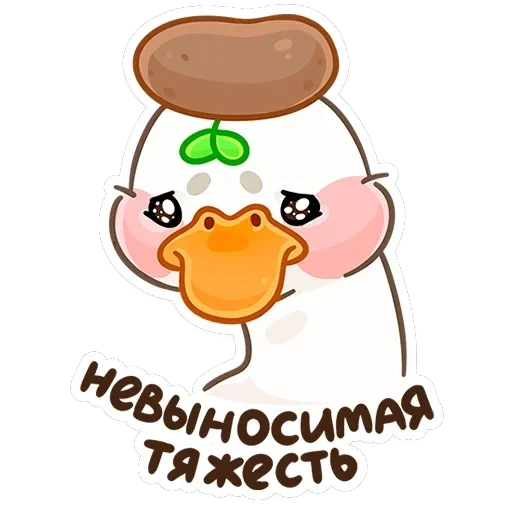 Утошка — 37