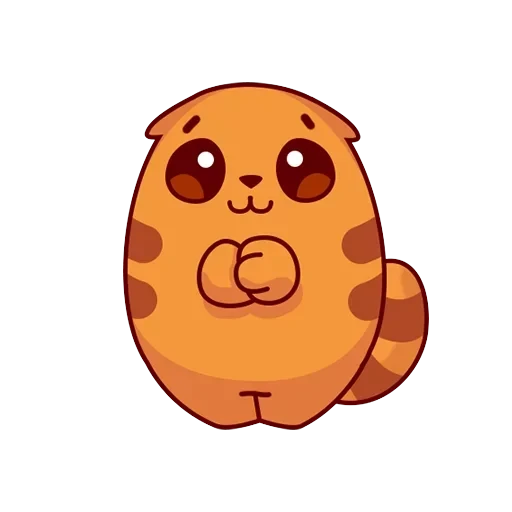 facecamru — 19