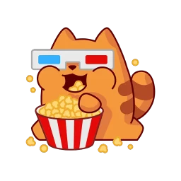 facecamru