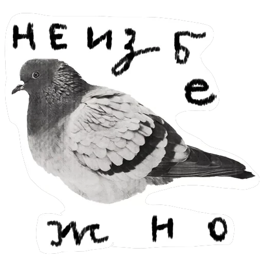 fafafa — 1