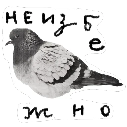 fafafa
