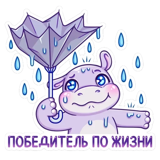 Финик — 23