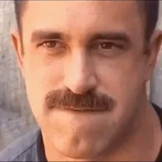Gachi — 6