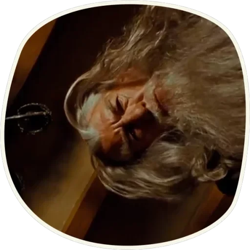 ⭕️ Gandalf (first movie) — 22