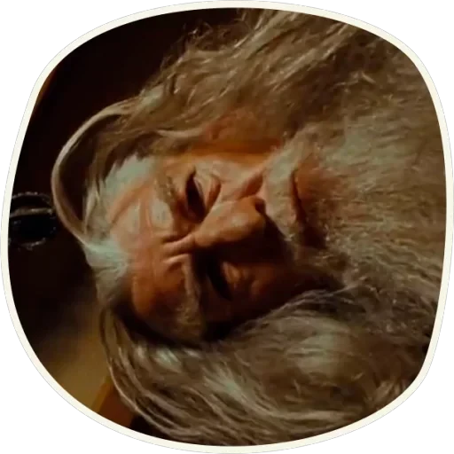 ⭕️ Gandalf (first movie) — 23