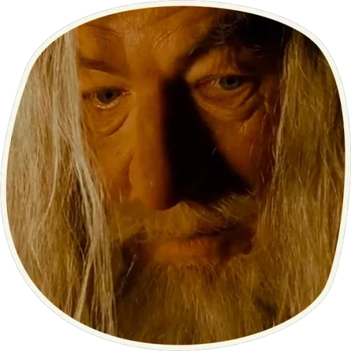 ⭕️ Gandalf (first movie) — 29
