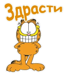 Гарфилд