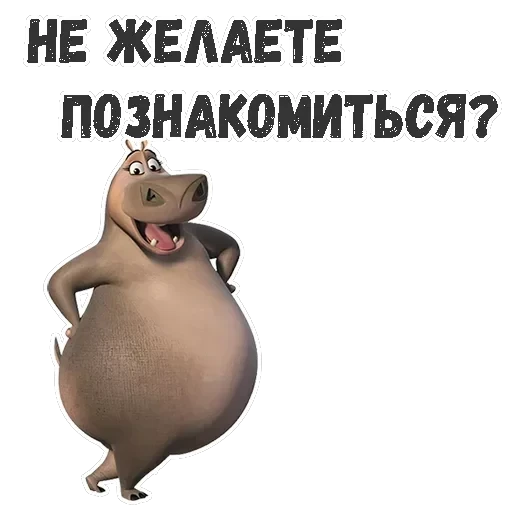 Глория — 14