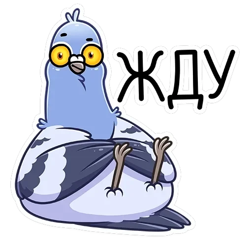 Голубь Михаил — 8